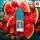 RandM Tornado Liquid - Strawberry Watermelon 20mg