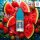 RandM Tornado Liquid - Strawberry Watermelon 10mg