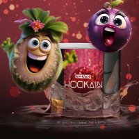 Hookain 200g - Fellatio