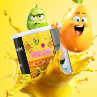 Hookain Shisha Tabak 200g - Spiced Lean